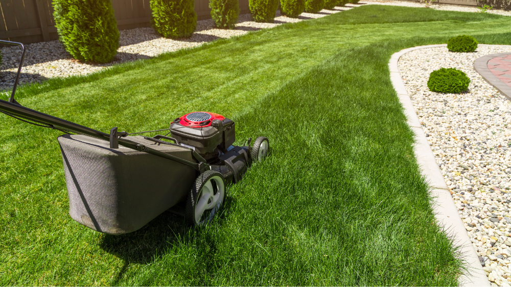 Image Quand tondre la pelouse après l'hiver ?